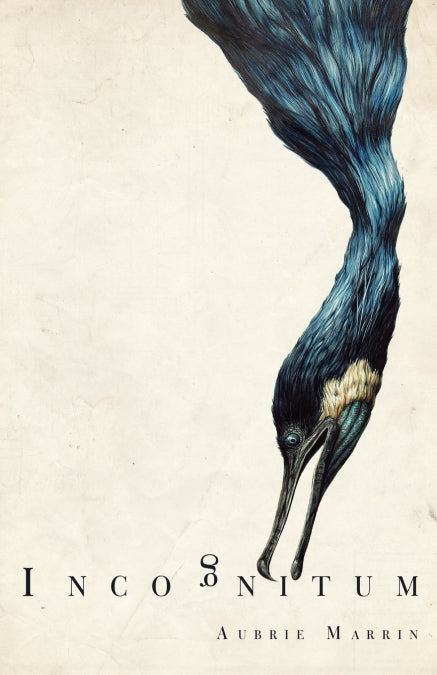 Image Alt Text
