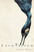 Image Alt Text