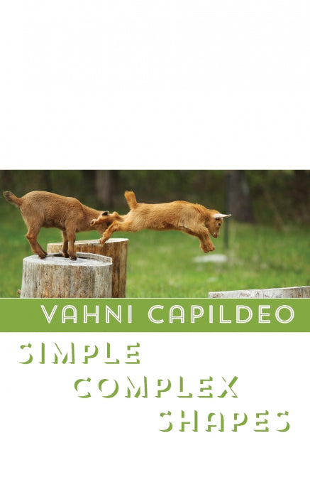 Image Alt Text