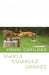 Image Alt Text