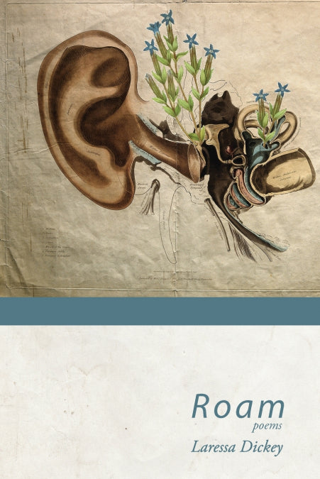 Image Alt Text