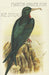 Image Alt Text