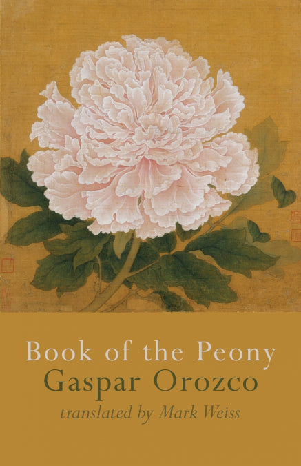 Image Alt Text