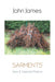 Image Alt Text