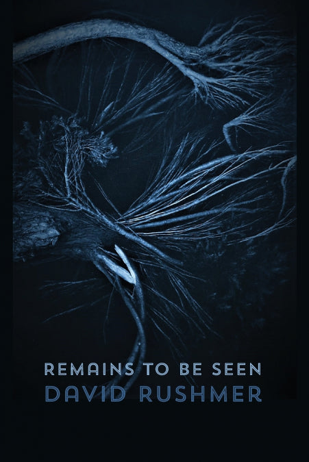 Image Alt Text