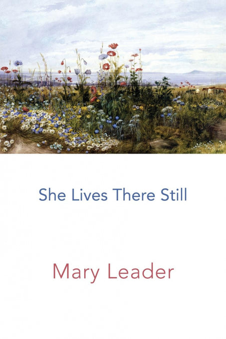 Image Alt Text