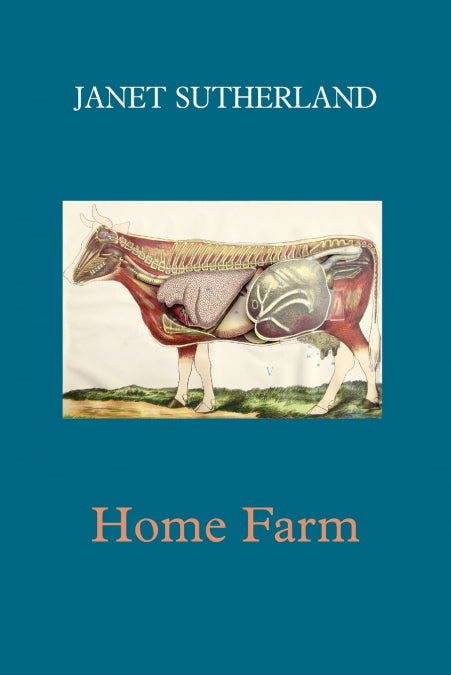 Image Alt Text