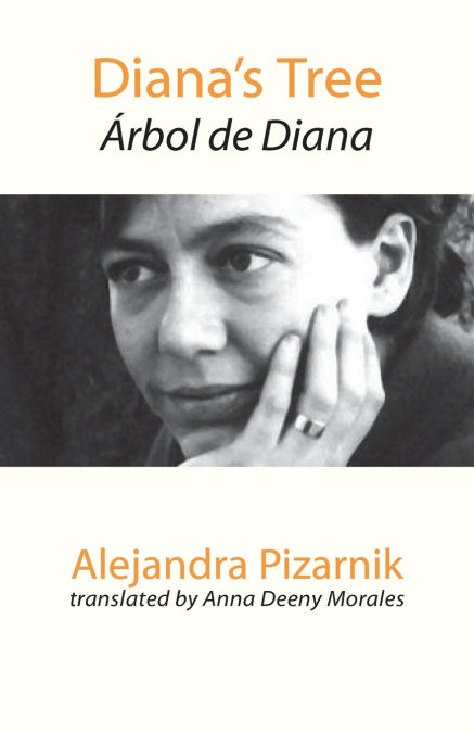 Image Alt Text