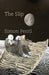 Image Alt Text