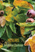 Image Alt Text