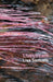 Image Alt Text
