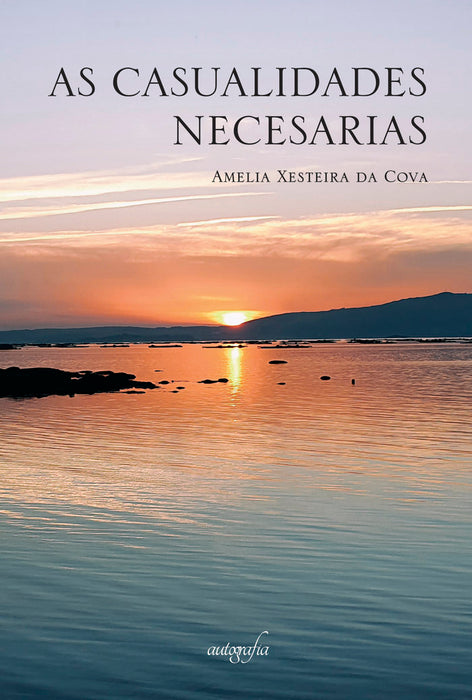 AS CASUALIDADES NECESARIAS