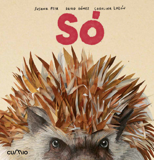 SÓ