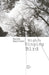 Image Alt Text