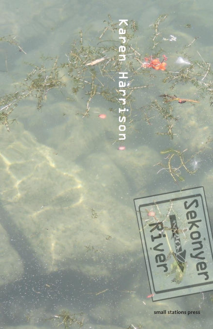 Image Alt Text