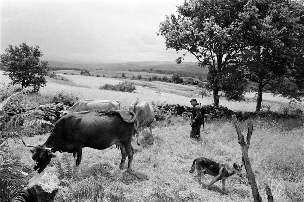 O PÁLPITO INTERIOR. TON VAN VLIET