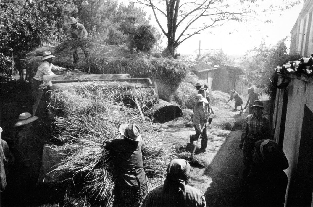 O PÁLPITO INTERIOR. TON VAN VLIET