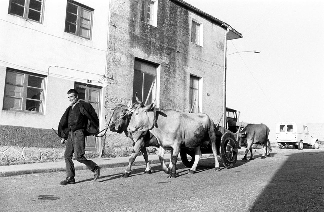 O PÁLPITO INTERIOR. TON VAN VLIET