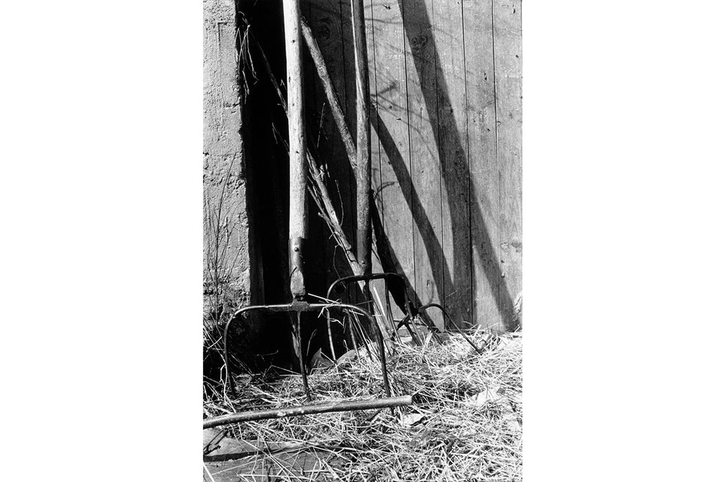 O PÁLPITO INTERIOR. TON VAN VLIET