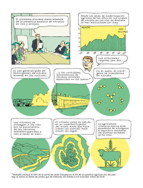 ALGAS VERDES. LA HISTORIA PROHIBIDA