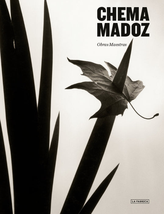 CHEMA MADOZ:OBRAS MAESTRAS