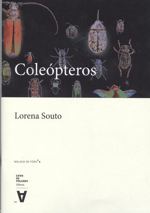 COLEÓPTEROS
