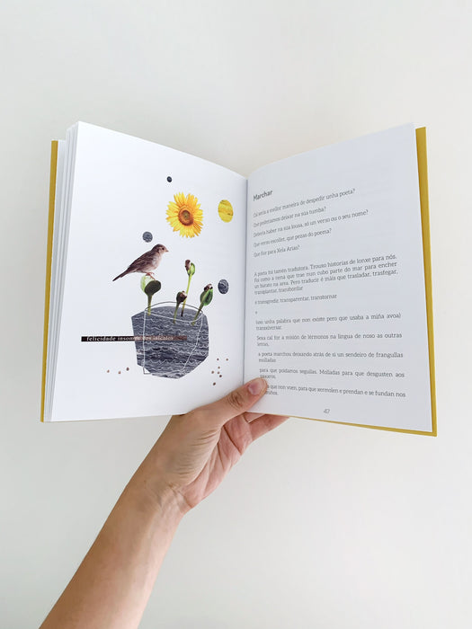 XELARIAS. PALABRA Á INTEMPERIE