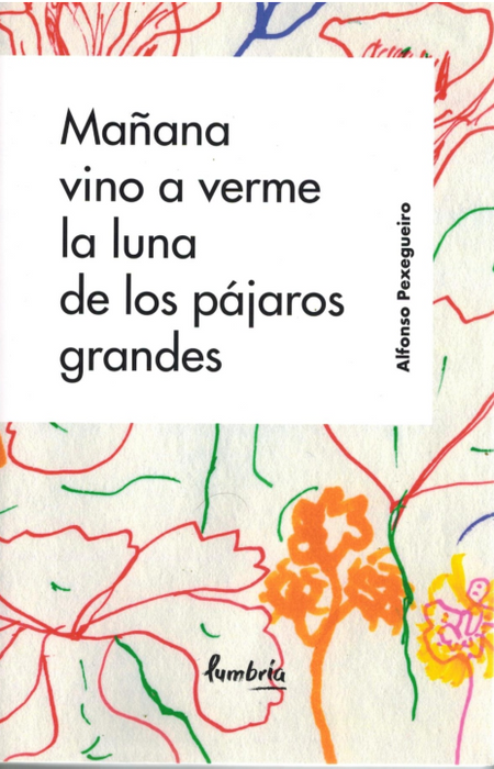 MAÑANA VINO A VERME LA LUNA DE LOS PÁJAROS GRANDES