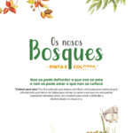 OS NOSOS BOSQUES. PINTA E COLORES