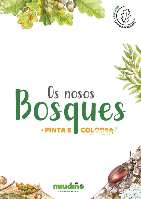 OS NOSOS BOSQUES. PINTA E COLORES