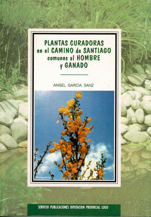 PLANTAS CURADORAS EN EL CAMINO DE SANTIAGO COMUNES AL HOMBRE Y GANADO