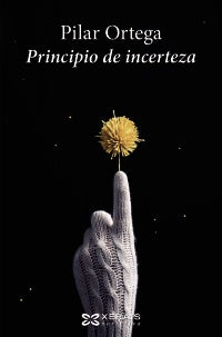PRINCIPIO DE INCERTEZA