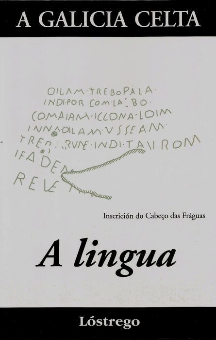 A GALICIA CELTA. A LINGUA