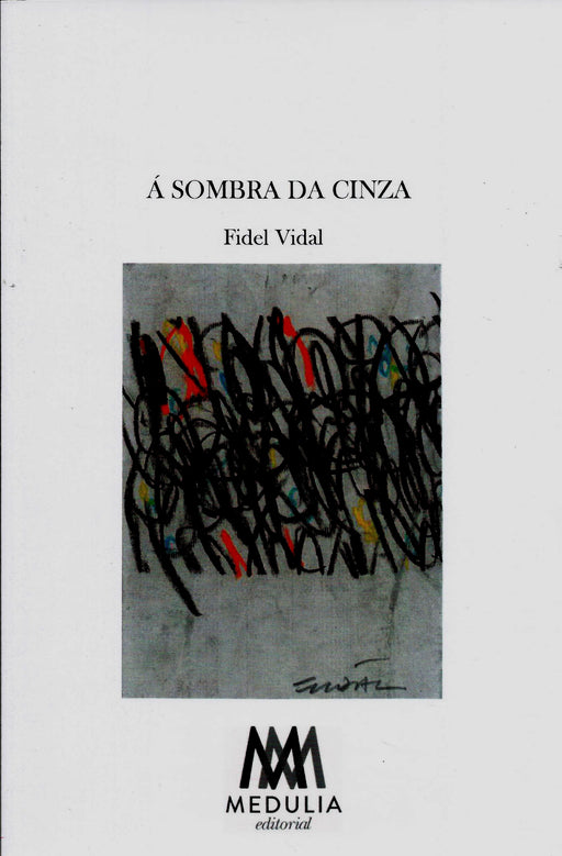 A SOMBRA DA CINZA