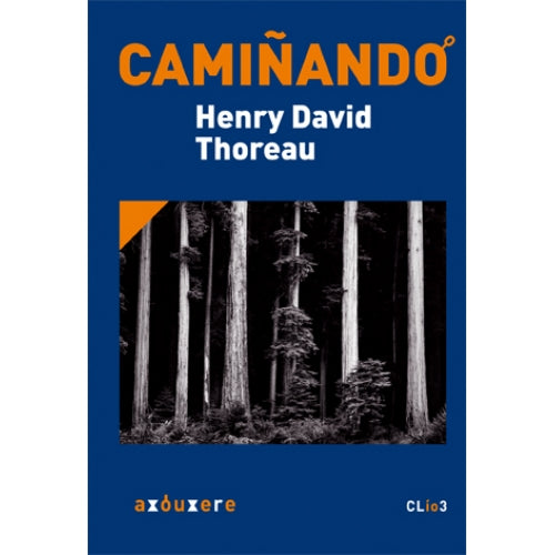 CAMIÑANDO