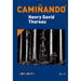 CAMIÑANDO