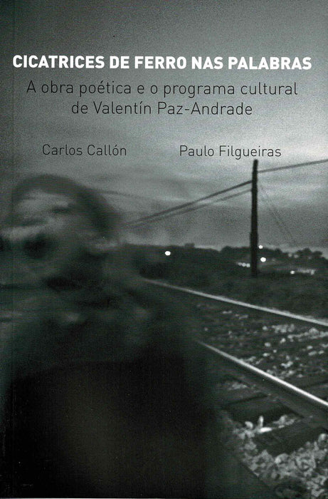CICATRICES DE FERRO NAS PALABRAS