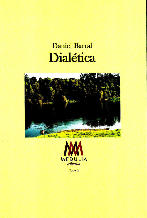 DIALETICA