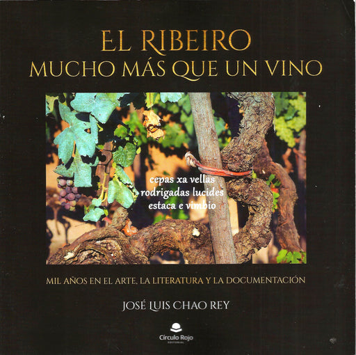 EL RIBEIRO, MUCHO MÁS QUE UN VINO