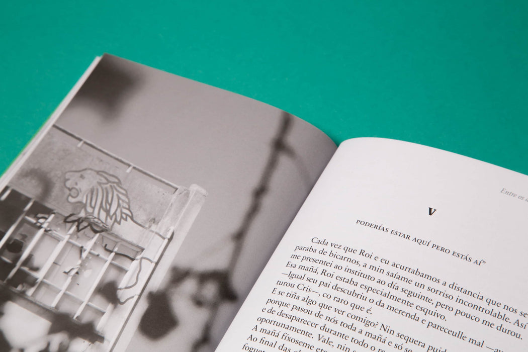 ENTRE OS DOUS HAI UN RIO (HISTORIAS COÑECERMOS VIGO 5)