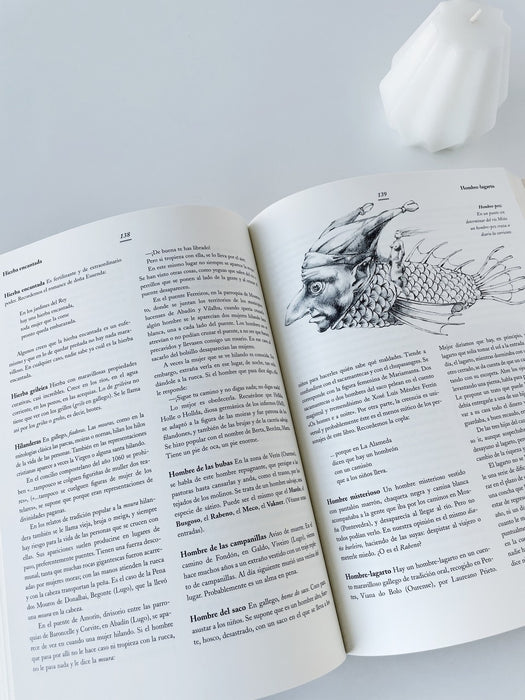 DICCIONARIO DE LOS SERES MÍTICOS GALLEGOS