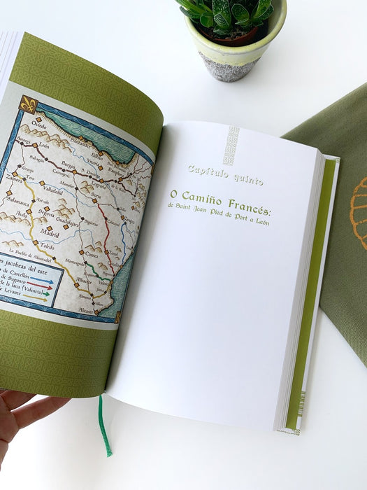 MÁIS ALÁ E MÁIS ARRIBA. HISTORIA DOS PRIMEIROS PEREGRINOS DO CAMIÑO DE SANTIAGO