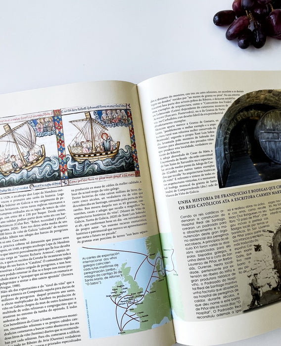 A MARABILLOSA HISTORIA DO VIÑO EN GALICIA