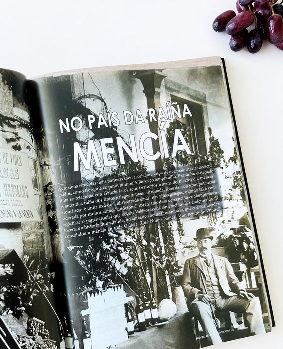 A MARABILLOSA HISTORIA DO VIÑO EN GALICIA