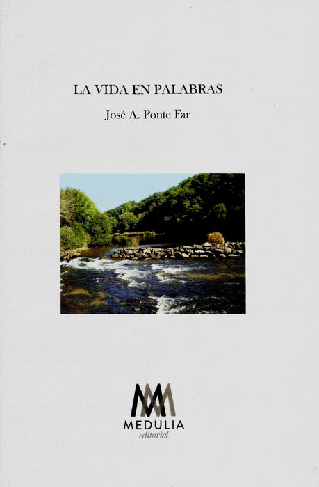 LA VIDA EN PALABRAS