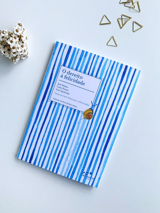 O DEREITO Á FELICIDADE