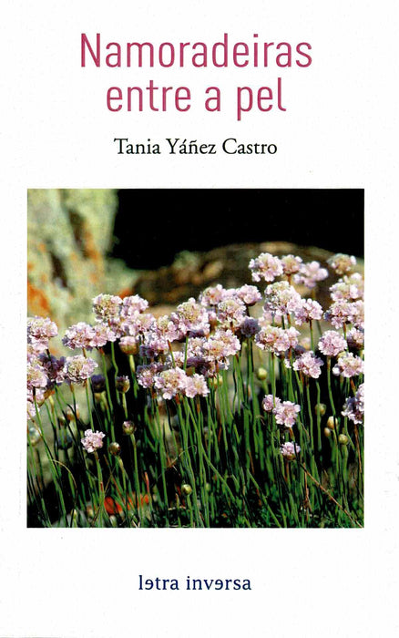 NAMORADEIRAS ENTRE A PEL