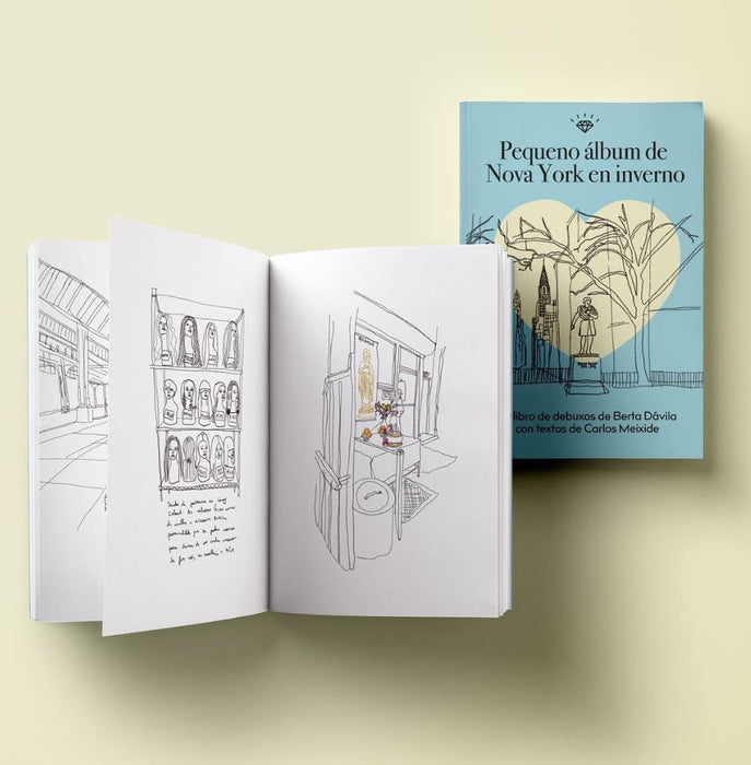 PEQUENO ÁLBUM DE NOVA YORK EN INVERNO