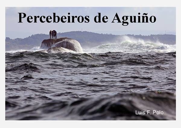 PERCEBEIROS DE AGUIÑO