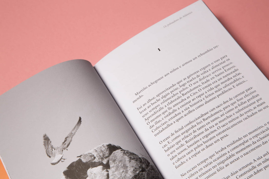 POBOADORES DO ATLANTICO (HISTORIAS COÑECERMOS VIGO 4)